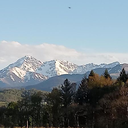 Chez Virginie Daire Lourdes Dış mekan fotoğraf